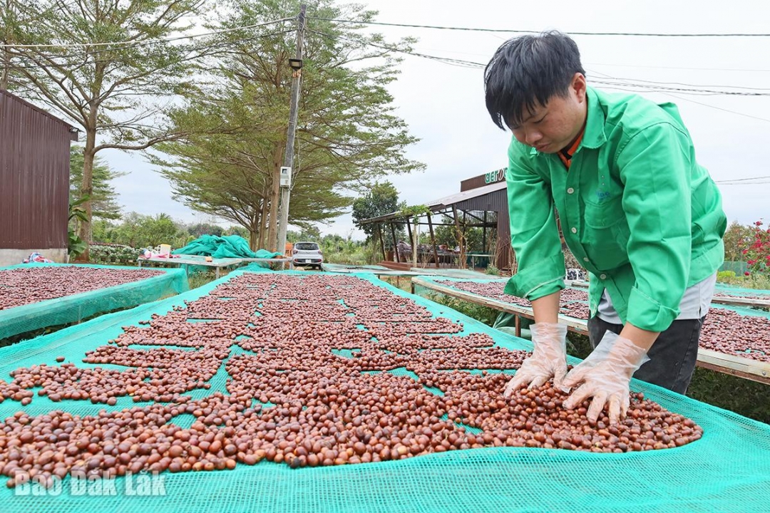 nông nghiệp 1